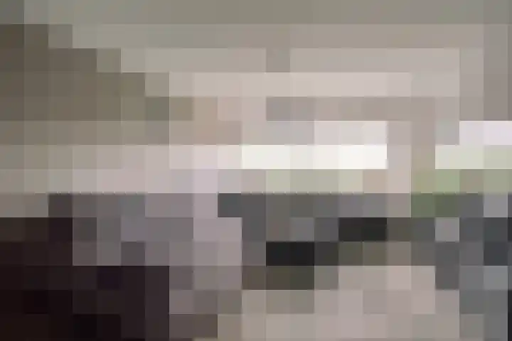 Laveibos 157 Zoetermeer thumbnail 7