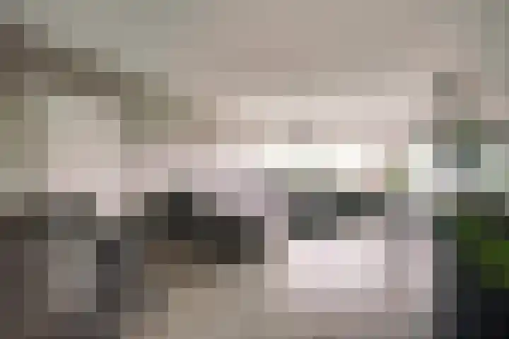 Laveibos 157 Zoetermeer thumbnail 8