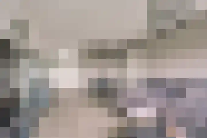 Laveibos 157 Zoetermeer thumbnail 9