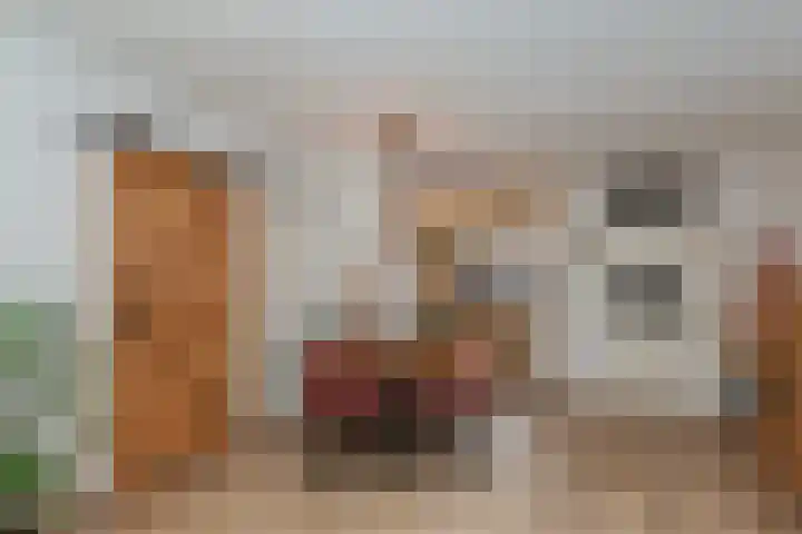 Laveibos 32 Zoetermeer thumbnail 10