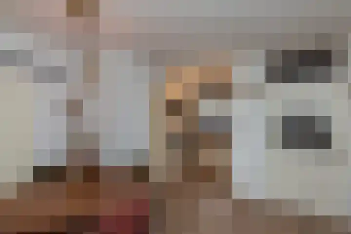 Laveibos 32 Zoetermeer thumbnail 11