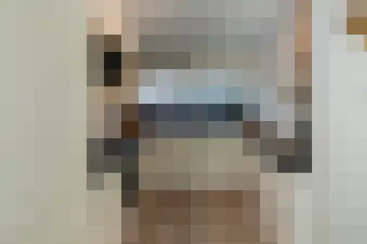 Laveibos 32 Zoetermeer thumbnail 12