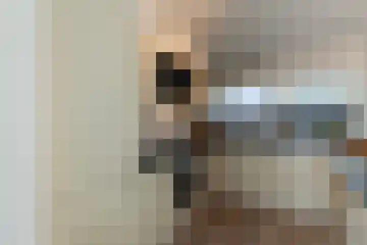 Laveibos 32 Zoetermeer thumbnail 13