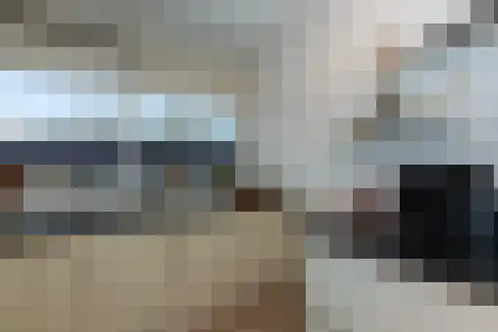Laveibos 32 Zoetermeer thumbnail 14