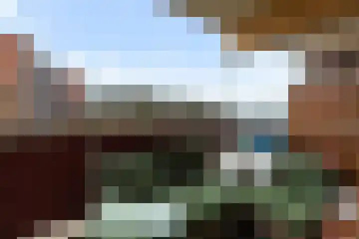 Laveibos 32 Zoetermeer thumbnail 15