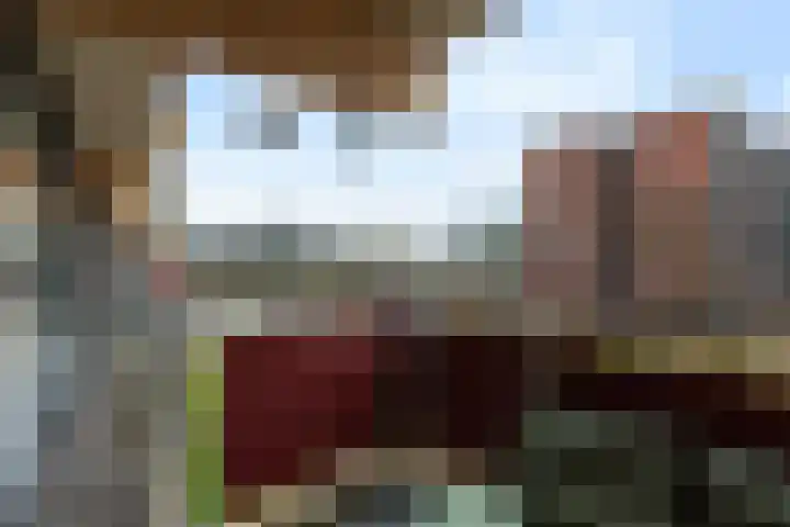 Laveibos 32 Zoetermeer thumbnail 16
