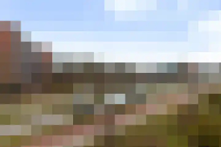 Laveibos 32 Zoetermeer thumbnail 17