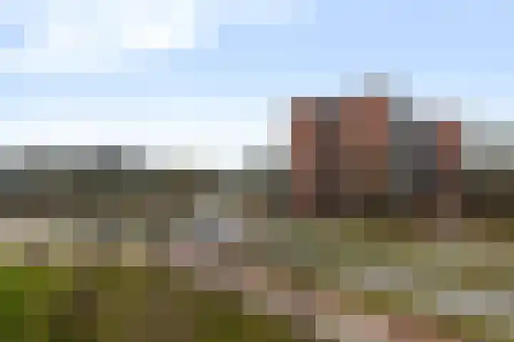 Laveibos 32 Zoetermeer thumbnail 18