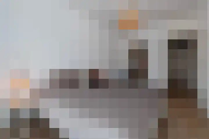 Laveibos 32 Zoetermeer thumbnail 21