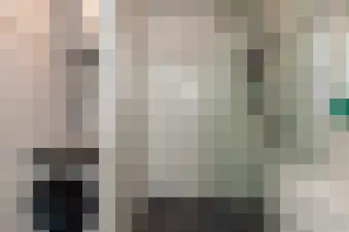 Laveibos 32 Zoetermeer thumbnail 26