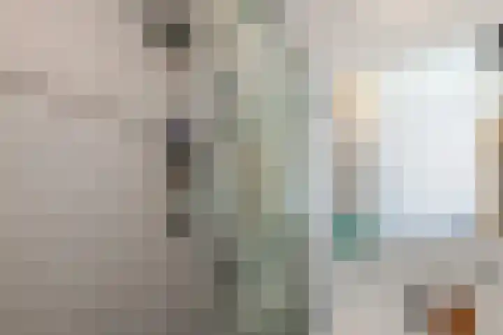 Laveibos 32 Zoetermeer thumbnail 27