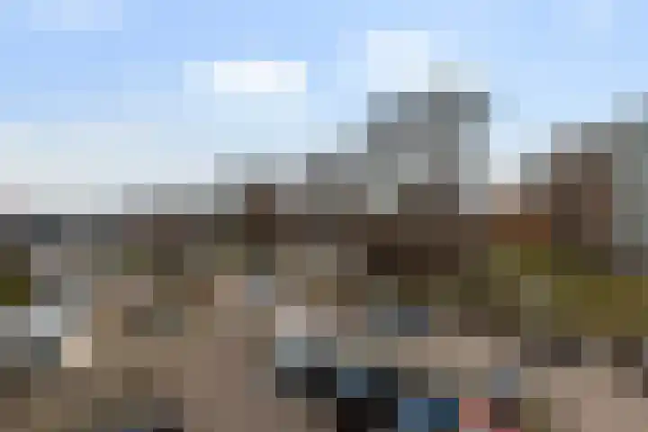 Laveibos 32 Zoetermeer thumbnail 31