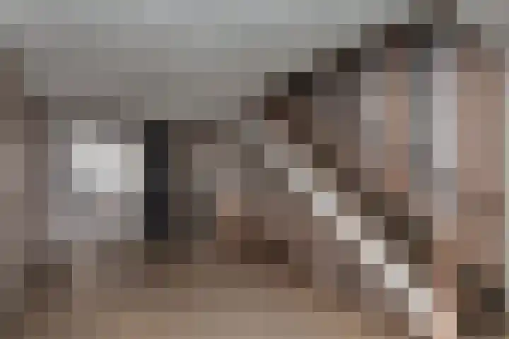 Laveibos 32 Zoetermeer thumbnail 32