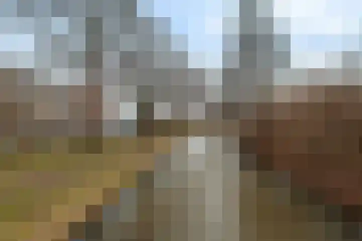 Laveibos 32 Zoetermeer thumbnail 35