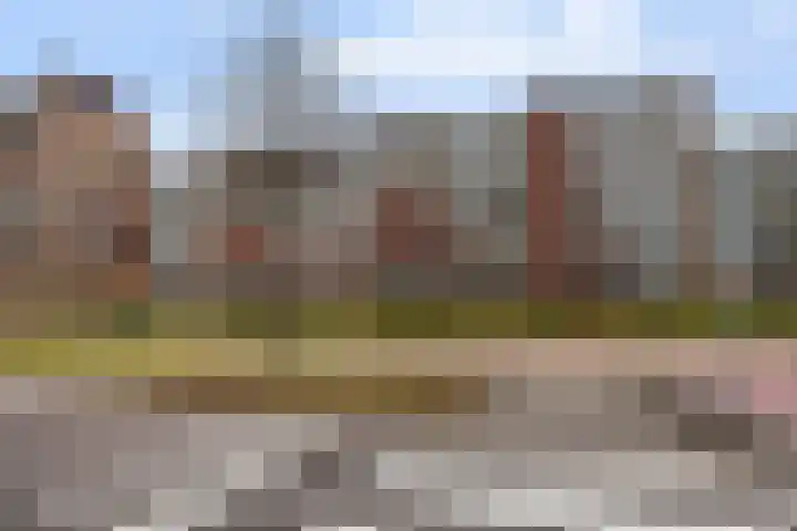 Laveibos 32 Zoetermeer thumbnail 37