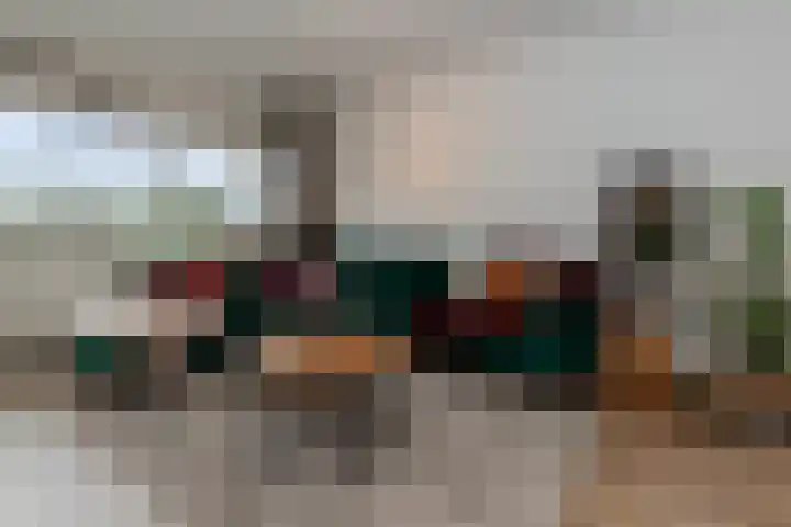 Laveibos 32 Zoetermeer thumbnail 4