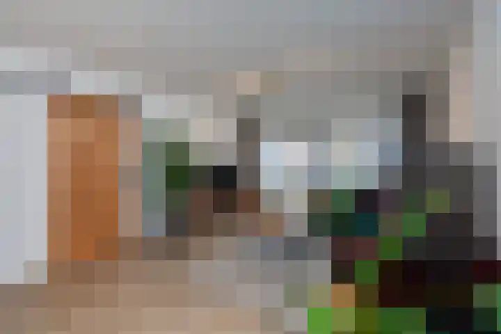 Laveibos 32 Zoetermeer thumbnail 7