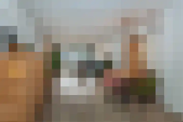 Laveibos 32 Zoetermeer thumbnail 8