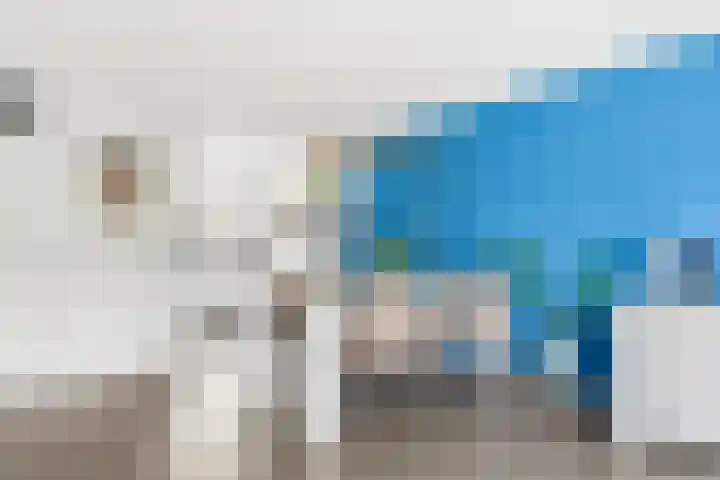 Lavendel 16 Alblasserdam thumbnail 12