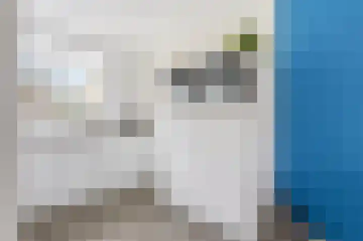 Lavendel 16 Alblasserdam thumbnail 19