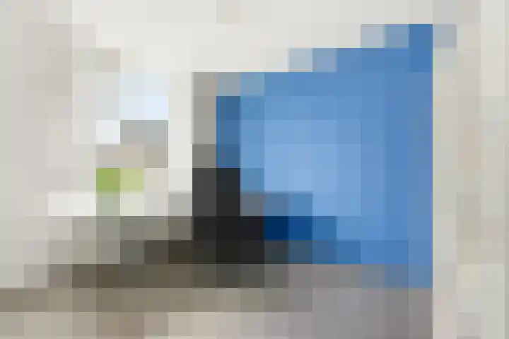 Lavendel 16 Alblasserdam thumbnail 27