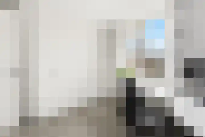 Lavendel 16 Alblasserdam thumbnail 29