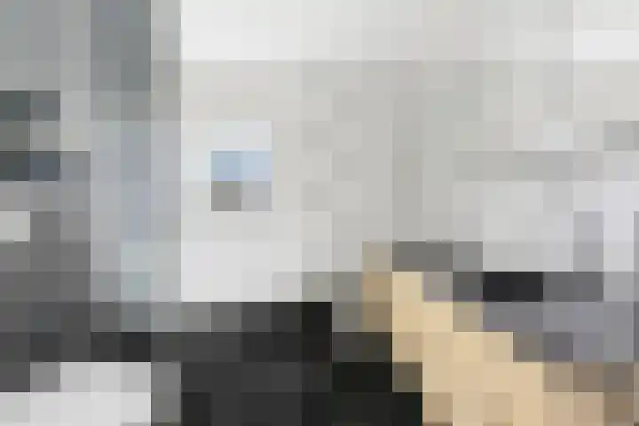 Lavendel 16 Alblasserdam thumbnail 30