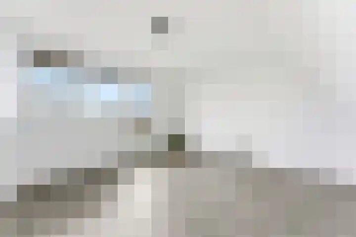 Lavendel 16 Alblasserdam thumbnail 34