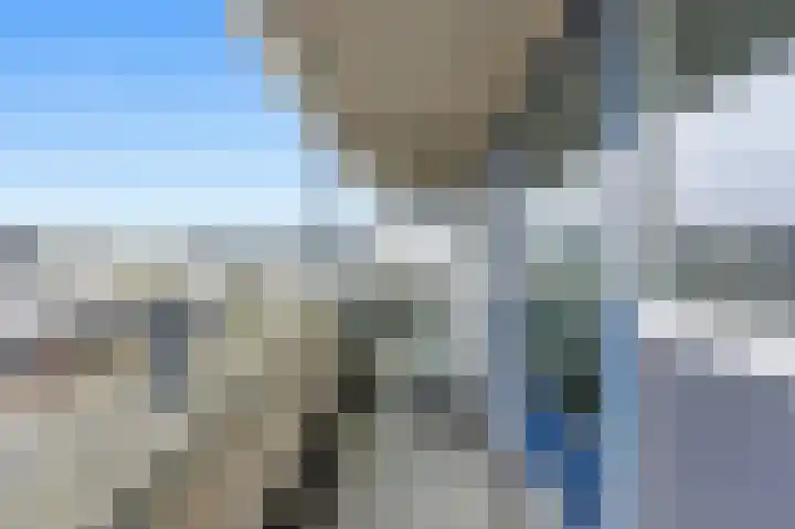 Lavendel 16 Alblasserdam thumbnail 37