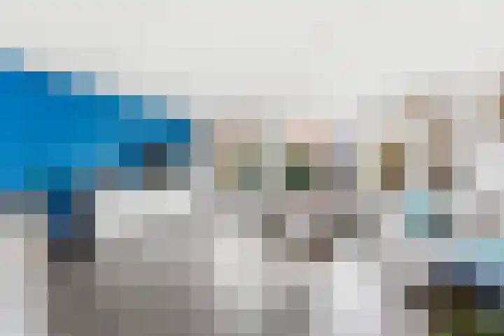 Lavendel 16 Alblasserdam thumbnail 4