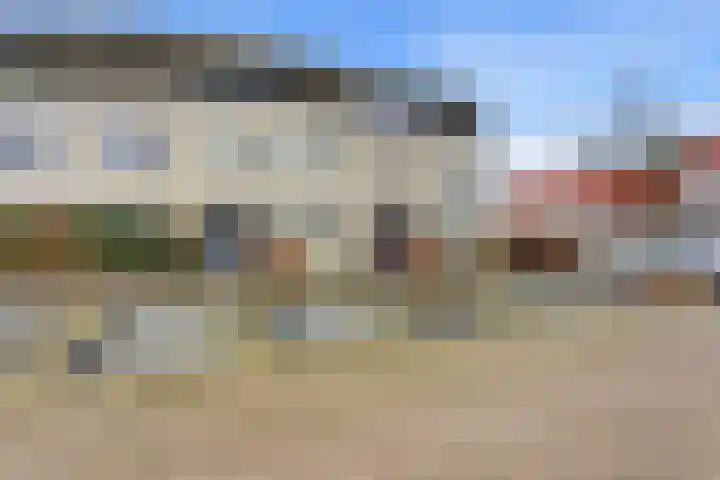Lavendel 16 Alblasserdam thumbnail 44