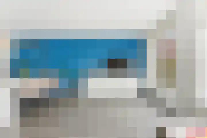 Lavendel 16 Alblasserdam thumbnail 7