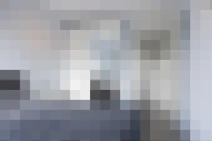 Lavendel 169 Hardenberg thumbnail 18