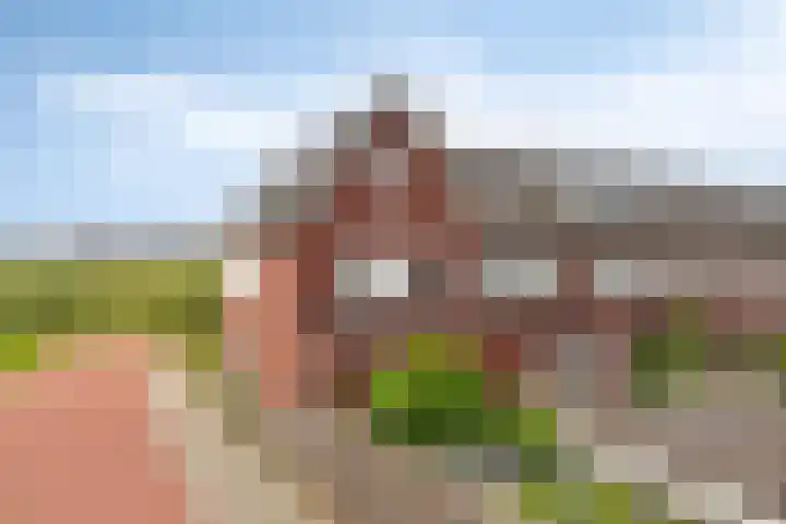 Lavendel 169 Hardenberg thumbnail 31