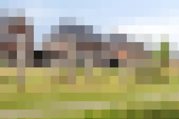 Lavendel 169 Hardenberg thumbnail 39