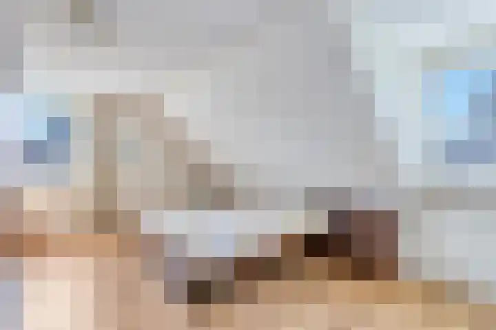 Lavendel 3 Geffen thumbnail 17