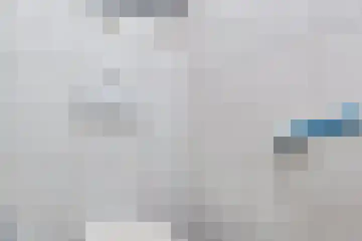 Lavendel 3 Geffen thumbnail 22