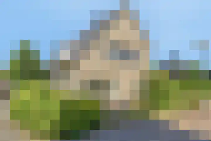 Lavendel 3 Geffen thumbnail 26