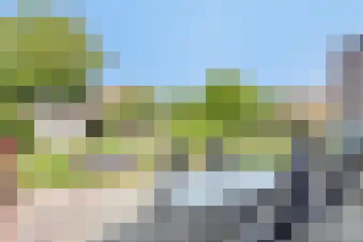 Lavendel 3 Geffen thumbnail 5