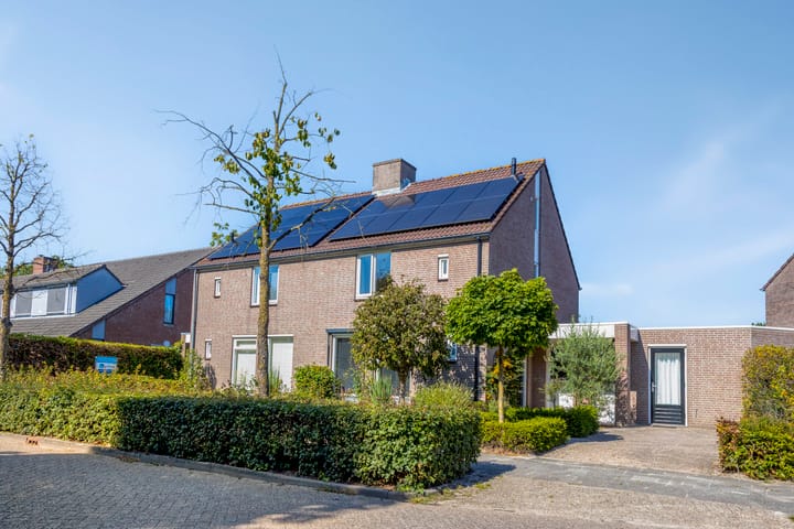 Lavendel 32 in Oisterwijk foto