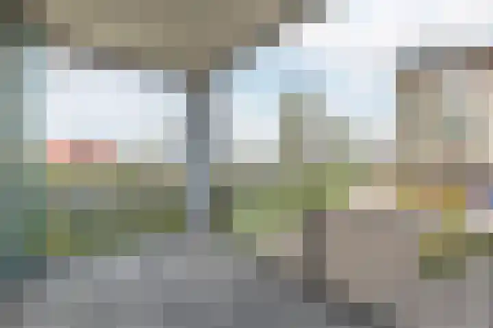 Lavendel 449 Cuijk thumbnail 21