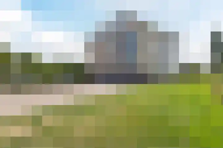 Lavendel 449 Cuijk thumbnail 30