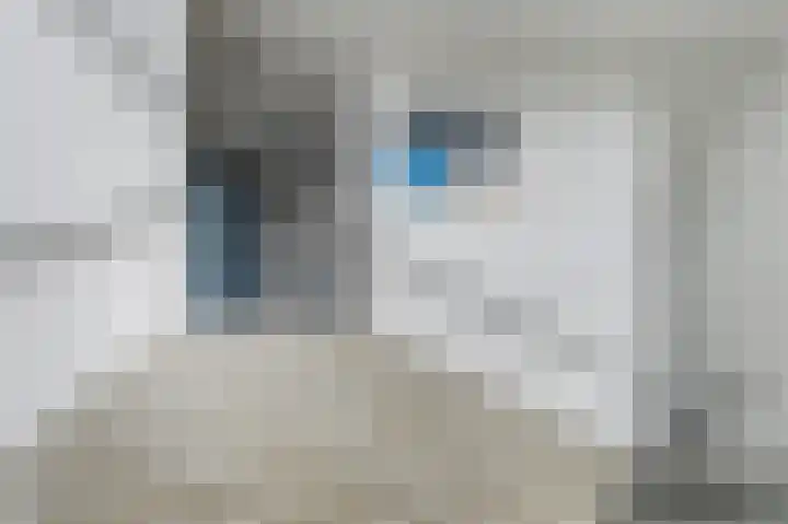 Lavendel 449 Cuijk thumbnail 4