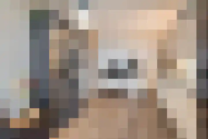 Lavendel 469 Cuijk thumbnail 14