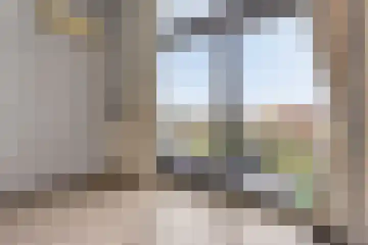 Lavendel 469 Cuijk thumbnail 17