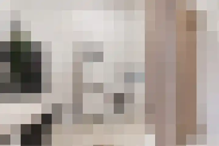 Lavendel 469 Cuijk thumbnail 18
