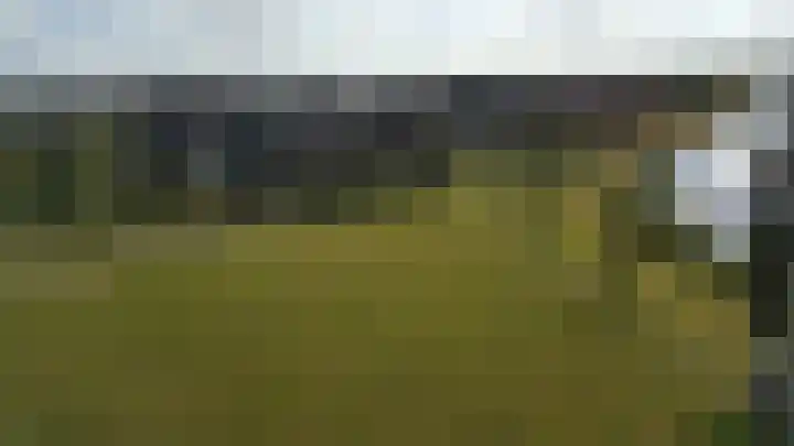 Lavendel 469 Cuijk thumbnail 21