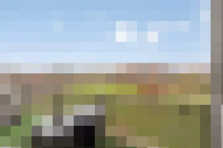 Lavendel 469 Cuijk thumbnail 4