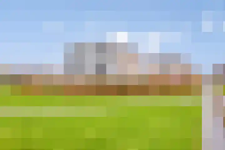 Lavendel 469 Cuijk thumbnail 5