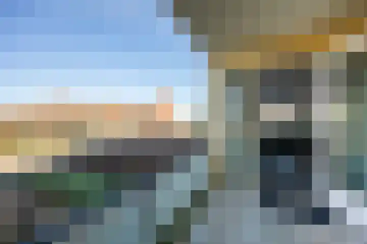 Lavendel 481 Cuijk thumbnail 13